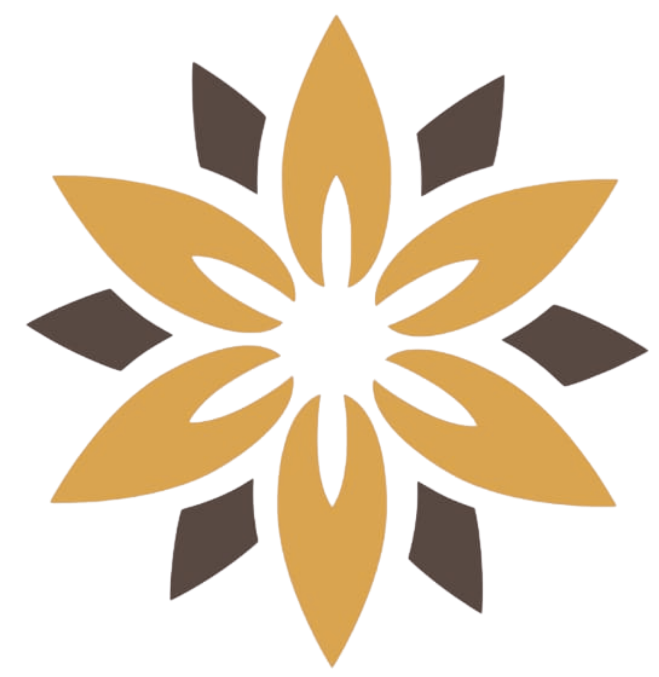 cropped skyvara 1.png